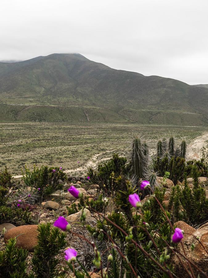 فيلا بونتا دي شوروسفي Refugio Humboldt المظهر الخارجي الصورة